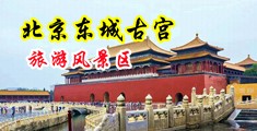 大肉棒插学生妹中国北京-东城古宫旅游风景区