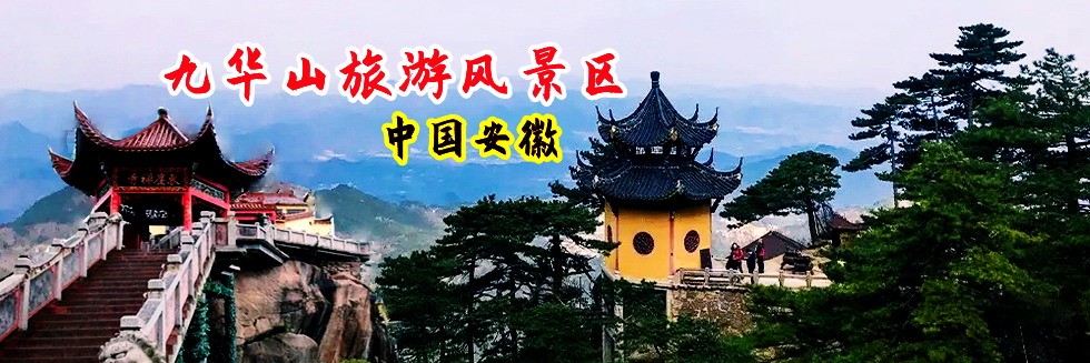 美女鸡把出水网页