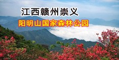 免费的大姐姐逼逼